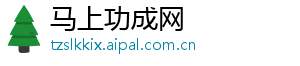 马上功成网